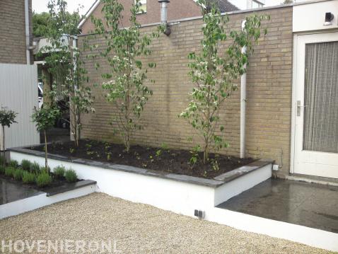 Stenen plantenbak met boompjes en nieuwe beplanting