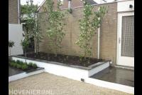 Stenen plantenbak met boompjes en nieuwe beplanting