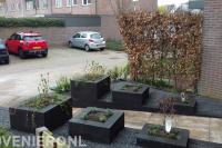 Onderhoudsvriendelijke tuin met bestrating en plantenbakken