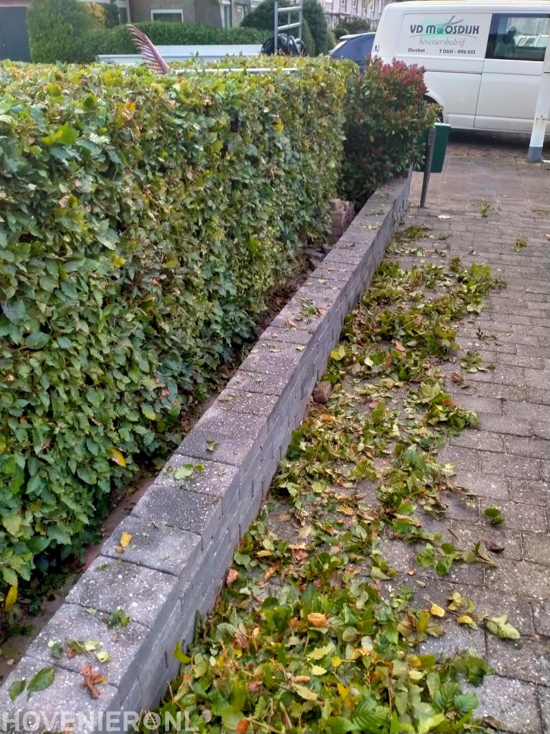 Vd Moosdijk hoveniersbedrijf