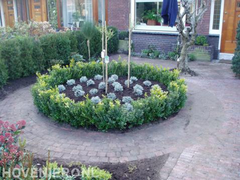 Voortuin met cirkelvormige border omgeven door buxus