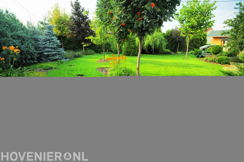 Melvrin Bakker Boom, Haag en Plantverzorging