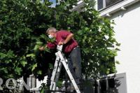 Hoveniersbedrijf Harbers