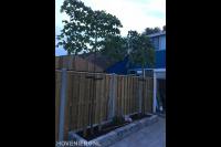 Planten van leibomen in plantenbak voor schutting