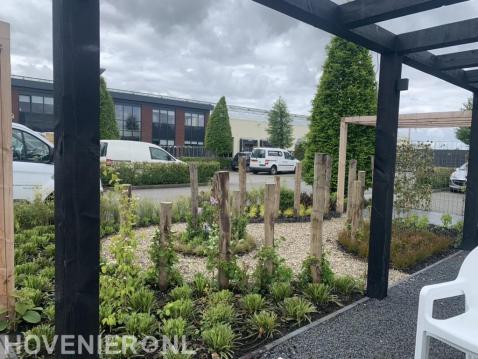 Tuinonderhoud met oog voor biodiversiteit