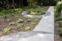 NIeuwe beplanting en bestrating van betontegels en klinkers