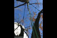 Kroonverankering aanbrengen