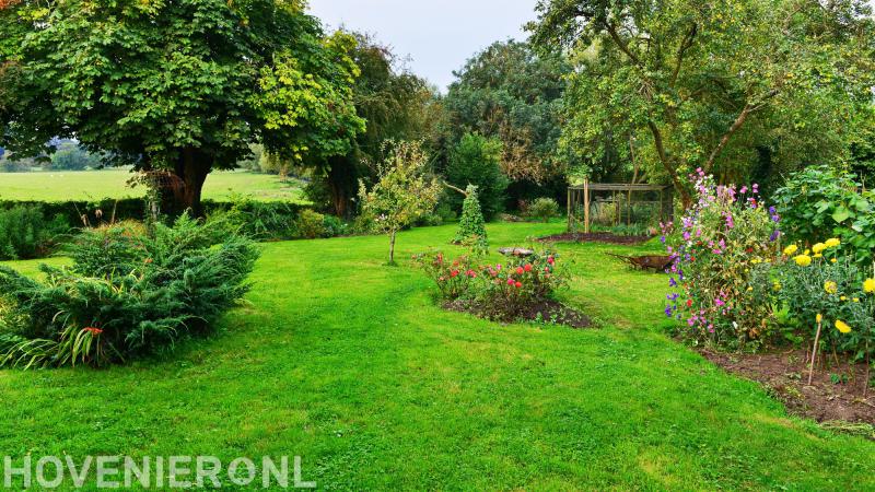 Scholten Groentechniek