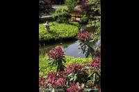 Oosterste tuin met vijver 2