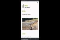 Heins Dienstverlening