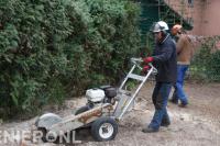 Boomstronk verwijderen met stobbenfrees