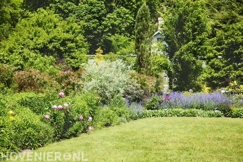 BvW Boomverzorging en Tuinaanleg