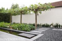 Dakplatanen bij smalle strakke vijver