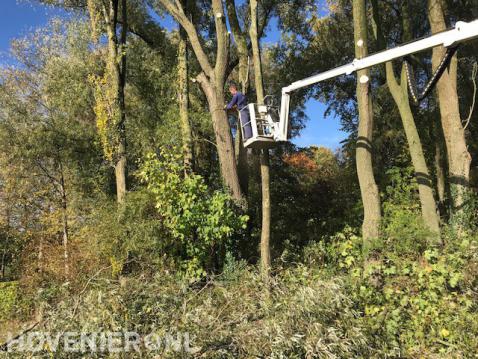 Bomen kappen met inzet van hoogwerker 3