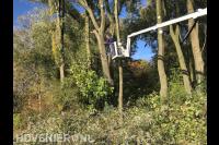 Bomen kappen met inzet van hoogwerker 3