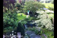 Bovenaanzicht speelse tuin met vijver en gazon 2