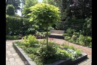 Tuinaanleg met bestrating, bloembakken en borders met nieuwe planten 2