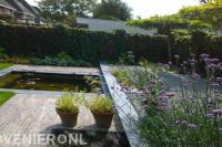 Tuin met strakke vijver en dakplatanen