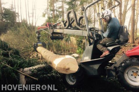 Gekapte boom afvoeren