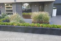 Onderhoudsvriendelijke voortuin met plantenbakken en siergras