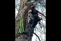 Connect Boomverzorging