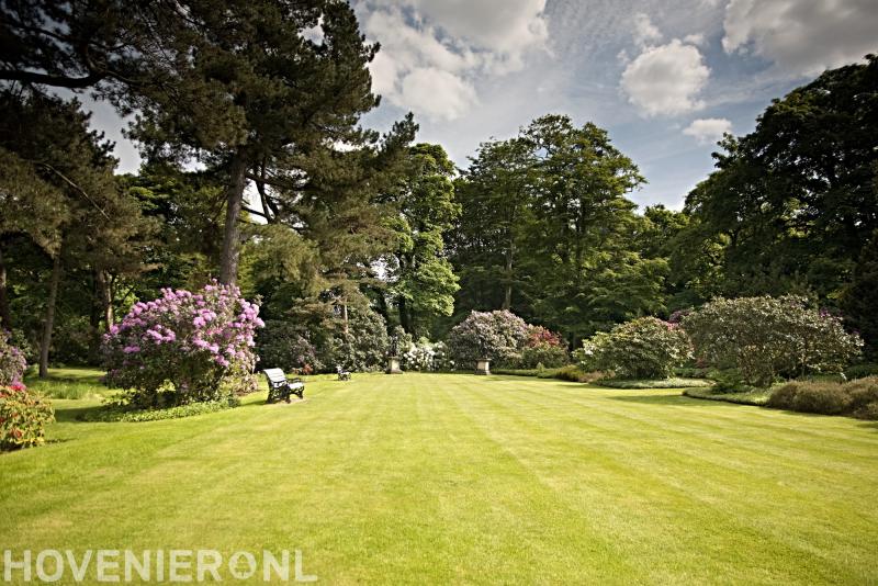 Hoveniersbedrijf Robert Peters