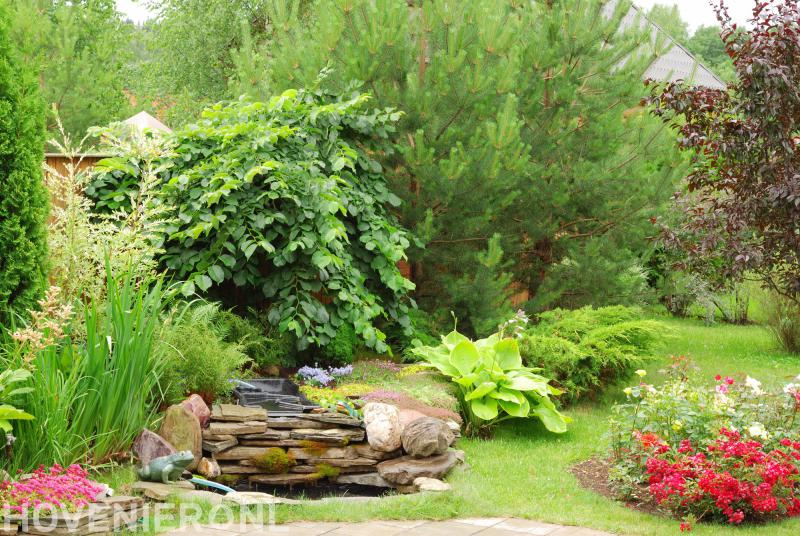 Hoveniersbedrijf Kleine