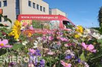 Hoveniersbedrijf Ron van Kampen