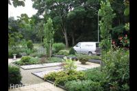 Strakke voortuin met veel groen