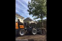 Boom verplaatsen met minishovel