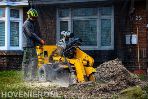 Boomstronk verwijderen met stobbenfrees