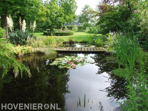 Landelijke tuin met veel groen en grote vijver