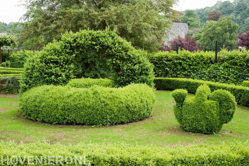 Rens Vos Tuinprojecten