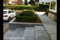 Voortuin met verhoogde border, trap en buxus