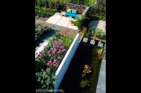 Strakke vijver met watermuur en stapstenen