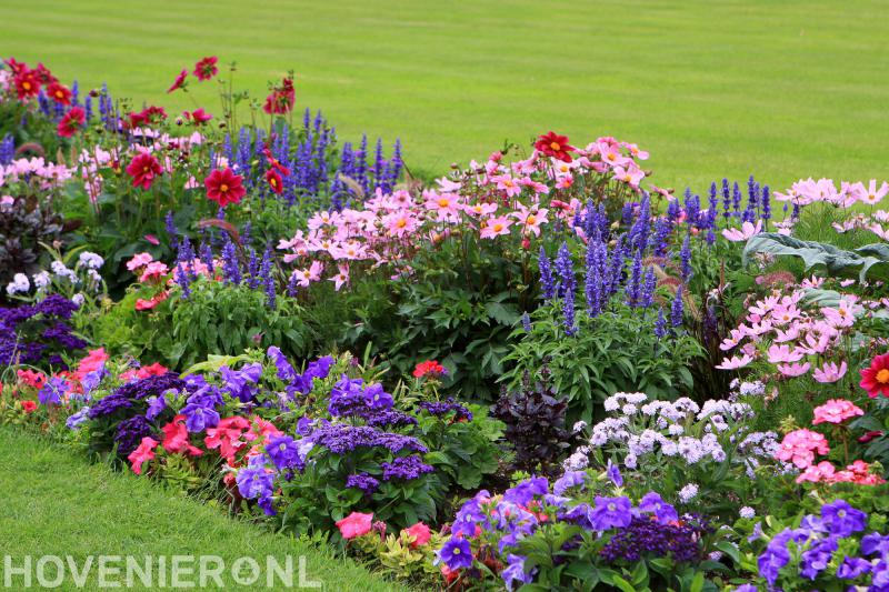 Hoveniersbedrijf Vincent Willems