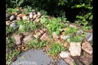 Losgestapelde muur met inheemse beplanting