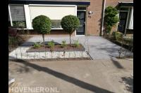 Onderhoudsarme voortuin met bestrating en jonge beukenhaag