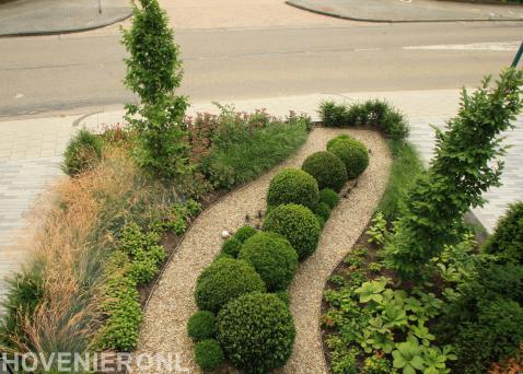 Groene voortuin met siergras, haagplanten in bolvorm en split