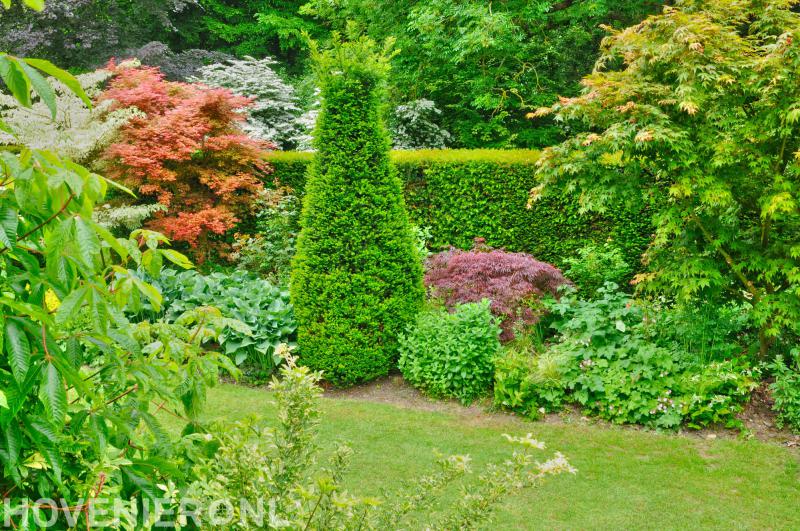 Hoveniersbedrijf Bas van der Werf