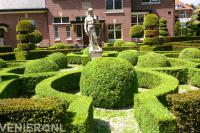 Klassieke tuin met vormsnoei van buxushagen en buxusbollen 1