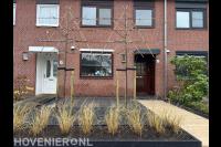 Renovatie voortuin aanleg in Zwijndrecht