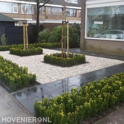 Voortuin met grind, buxus en bestrating van betontegels 2