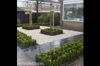 Voortuin met grind, buxus en bestrating van betontegels 2