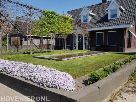 Voortuin met vijver, gazon, leibomen en nieuwe beplanting