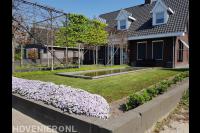 Voortuin met vijver, gazon, leibomen en nieuwe beplanting