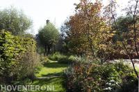 Tuinaanleg Tuinontwerp Tuinonderhoud Den Haag