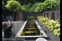 Strakke vijver omgeven door bolcatalpa's en hortensia's