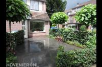 Voortuin met bestrating, bolcatalpa's en haag