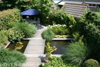 Groene tuin met strakke vijver en houten vlonder